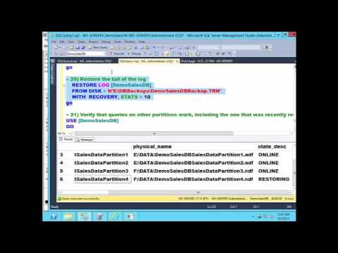 SQL Server Database Recovery Techniques 116