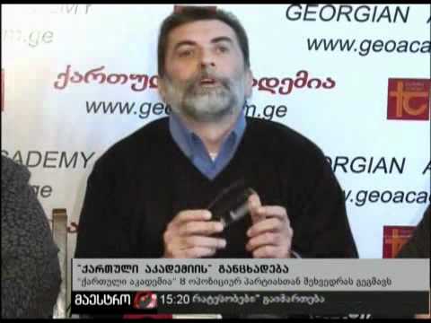 04/11/10 ''ქართული აკადემიის'' განცხადება