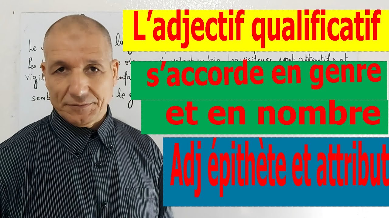 L'adjectif qualificatif - YouTube