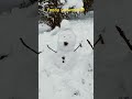 FUNNY SNOWMAN 🤣#shortvideo #snow