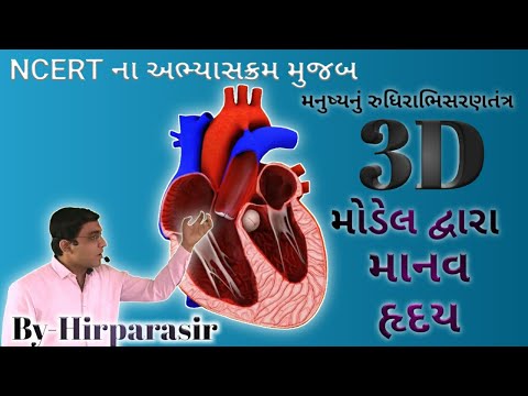 મનુષ્યનું રુધિરાભિસરણતંત્ર || NCERT Science Ch 6 || માનવ હૃદય || The Human Circulatory System