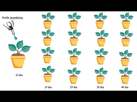 Vídeo: O que uma Anova de medidas repetidas lhe diz?