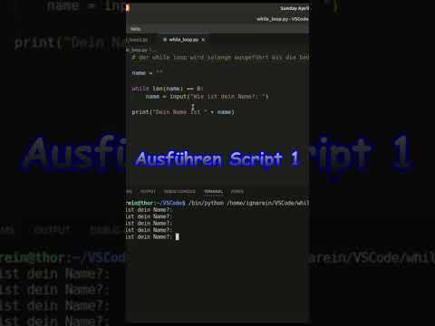 Python Kurs 11