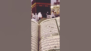 سورة الفلق بصوت الشيخ ماهر المعيقلي #اكسبلور #المصحف
