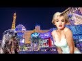 Sports Betting, Poker and Online Gambling News - YouTube