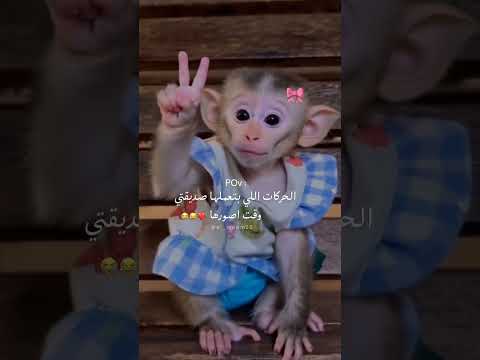 اوماايكاد    18