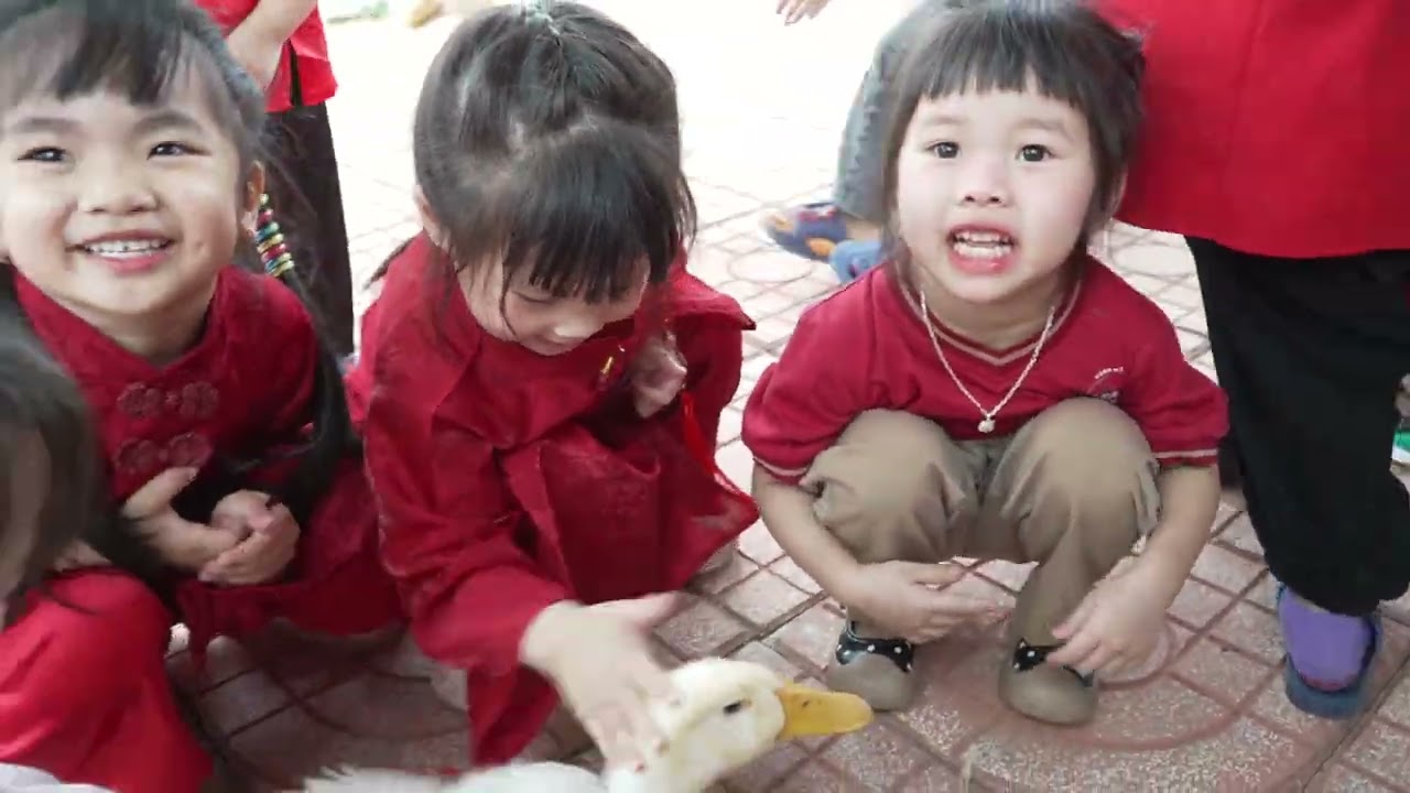 Hoạt động trải nghiệm Tết sum vầy  Xuân yêu thương năm 2026