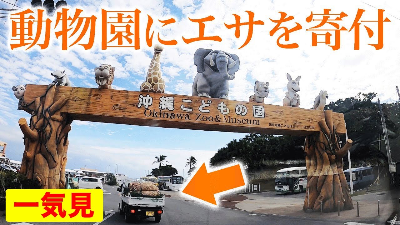 【一気見】動物園にエサを寄付します【動物園のSOS 】