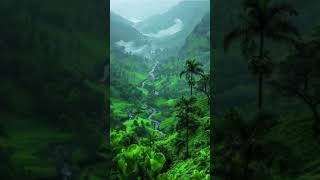 nature 😎#viral #beautiful #trending #zeemarathi #colorsmarathi #neetubisht
