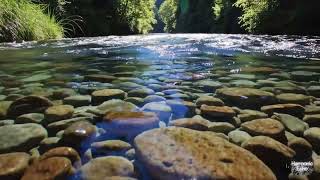 Crystal Clear River Sounds – Relaxing Flowing Water for Peace & Calm