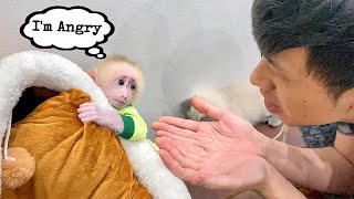 How to calm an angry baby monkey?