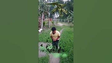 vfx| vfx editing| vfx green screen| vfx animation| visual effects| blender vfx|jadu effects vfx|#vfx