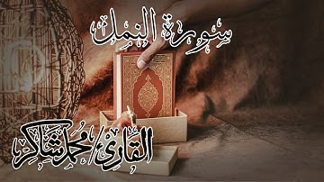 سورة النمل للقارئ محمد شاكر