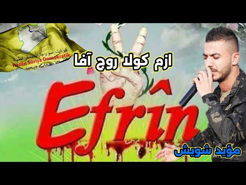 عفرين كولا روج آفا AFRÎN دبكات شيخاني 2025 مؤيد شويش