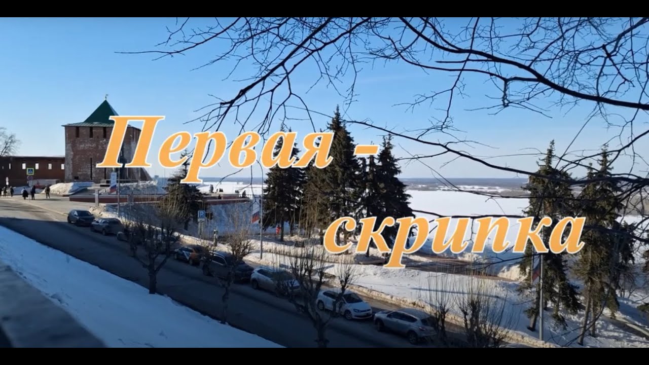 Телерепортаж "Первая скрипка"