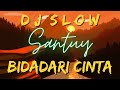 DJ BIDADARI CINTA SLOW REMIX VIRAL TIKTOK FULL BASS