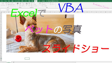 【Excel】【VBA】超簡単！VBAでスライドショー作ってみた♪エフェクト付き【ヨークシャーテリア】