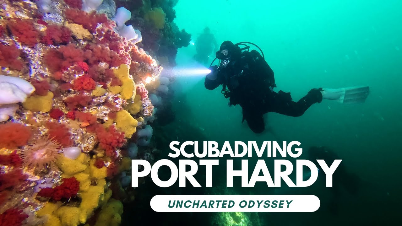 Scuba Diving Port Hardy Uncharted Odyssey 7 Tree Island YouTube
