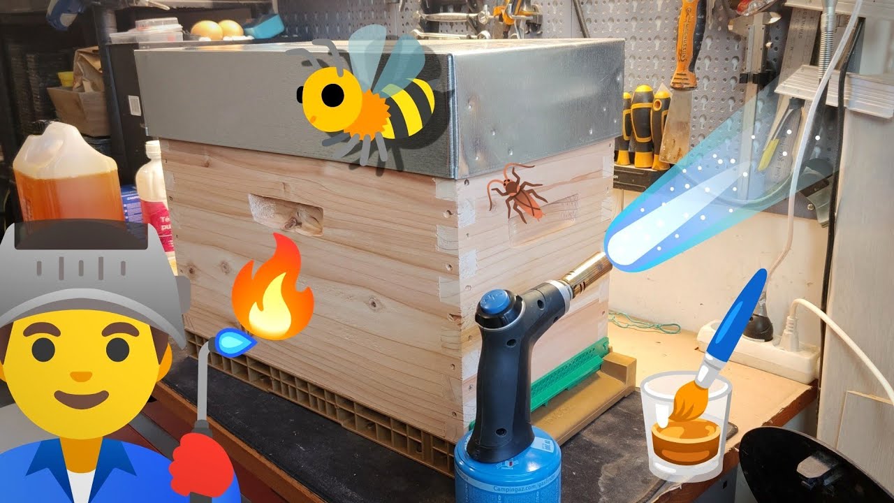 🐝 Préparer sa ruche 🛖des intempéries 🌦️chalumeau et huile de lin 🖌️