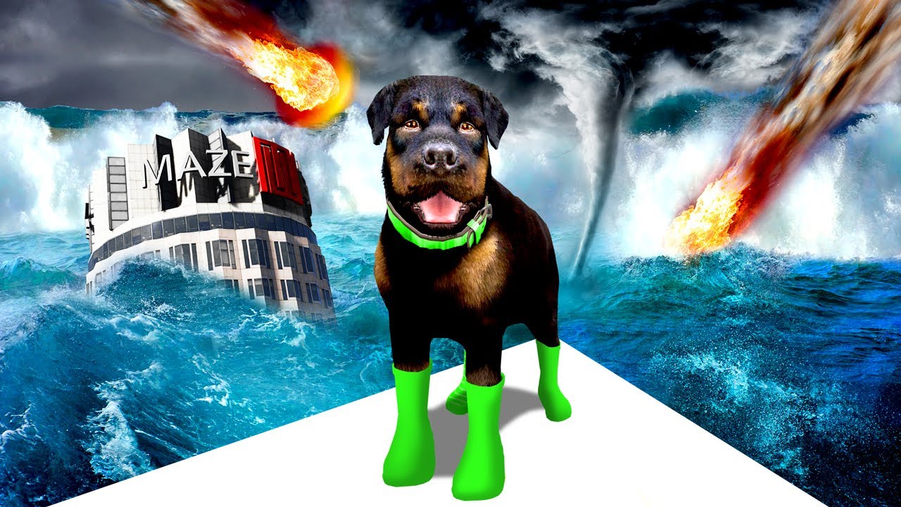 GTA 5 - PLAYING as CHOP in EVERY Natural Disaster!