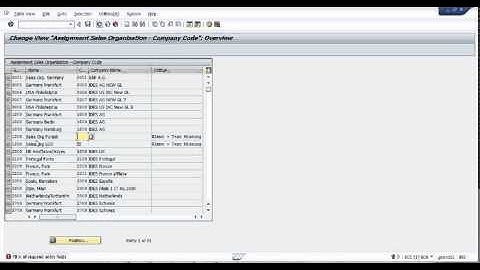 02 ASSIGN SALE ORG TO COMPANY CODE IN SAP