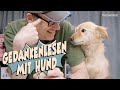 Haustiere halten geistig fit - Selbstversuch mit meinem Hund 😂   |  #mittagspause