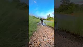 Jharna Lingid Dah Talam Tam