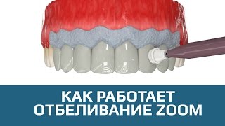 Прививки гепатит а где найти
