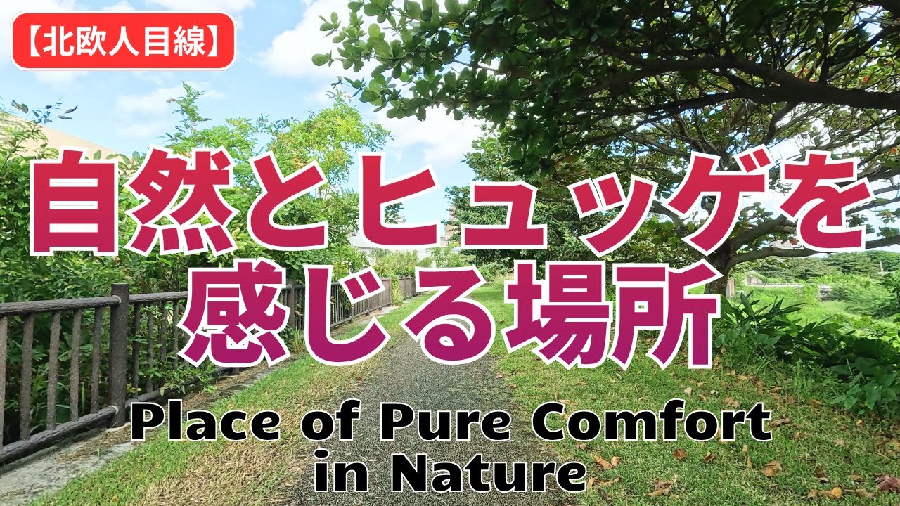 【真嘉比×ヒュッゲ】Calm Morning Walk, Makabi, Okinawa | 北欧人が歩く朝散歩｜自然を感じる癒しタイム