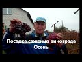 Осенняя посадка саженцев. Готовь &quot;сани&quot; осенью...