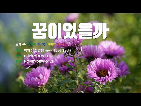 [은성 반주기] 꿈이었을까 - 박명수.정엽(Brown Eyed Soul)