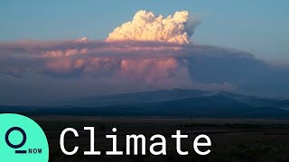 Oregon Wildfires Are Climate Change 'Playing Out Before Our Eyes:' Governor