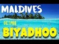 Остров Бияду, Мальдивы / Biyadhoo Island, Maldives