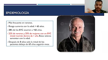 ¿Cuáles son las dos principales categorías de factores de riesgo?