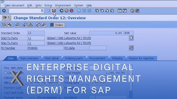 Overview on Protecting SAP ERP data with SAP Digital Rights Management (DRM)