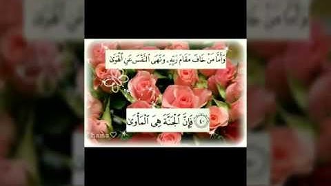 تلاوه أبو شعيب جمالي