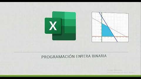 Programación entera binaria