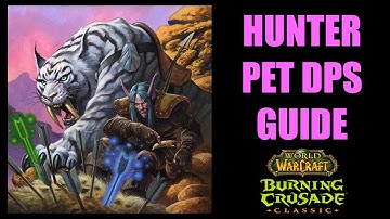 WOW TBC Classic Hunter PET DPS GUIDE: Pet Talents, Abilities, Buffs and LOTS MORE!!!