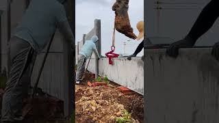 Flawless Long Wall Concrete Filling Tips & Tricks for Perfect Results