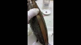 🎂Live Stream 🎂 2026-09-16 03:52:47