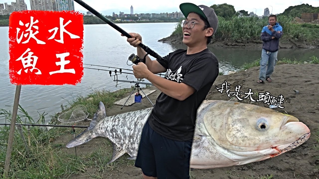 台灣最大淡水魚 肆虐美國的生態殺手 台灣大釣哥ep16 大頭鰱 Youtube