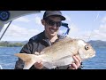 Fox fishing  golf festival promo 2021