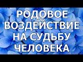 Системный подход к Родовому воздействию на судьбу человека. Встреча 2 / Алена Дмитриева