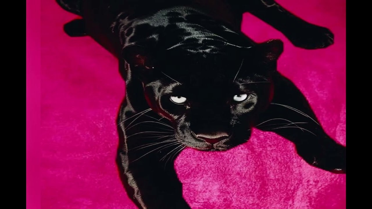 *FREE* Playboi Carti x Pierre Bourne Type Beat - 