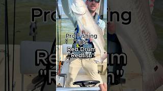 3 Redfish Fishing Tips #fishing #redfish #inshorefishing