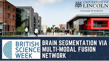 Brain Segmentation via Multi-modal Fusion Network