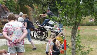 EVERS Erik, NED, CAI2# Exloo, H2, Marathon Ob 2, 15 08 2020