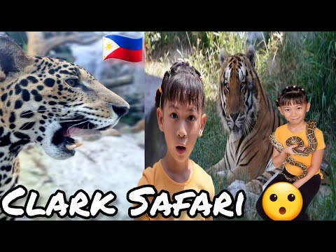 Video: Ano ang pinakabagong safari?