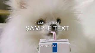 imovie test