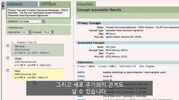 Oncomine™ 데이터 기능 #2 - 전립선 암